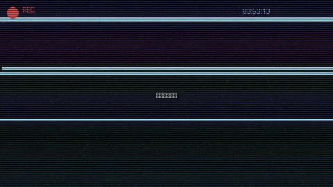 周末随拍记录 - 这届人民不行 原创视频